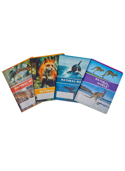 RT-20055 seyes exercise book 